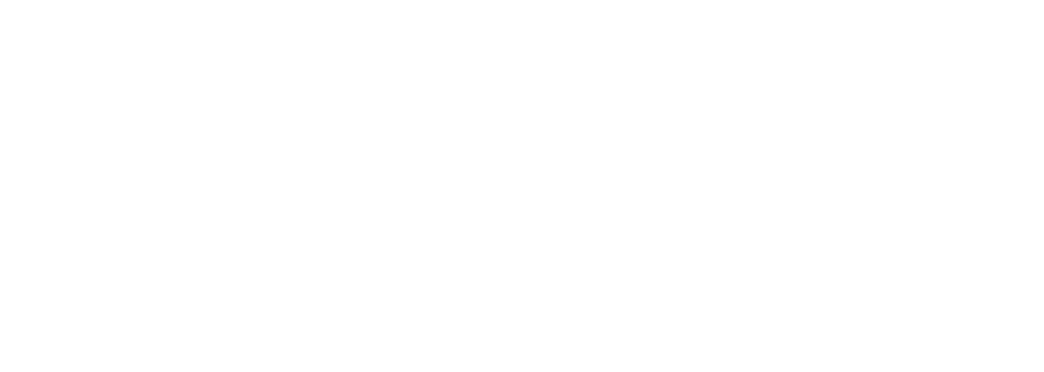 Logo novi 2